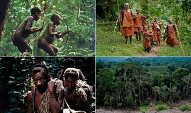 Meet Mbuti tribe, shortest people in Africa. They call Forest “Mother”, it provide all their needs